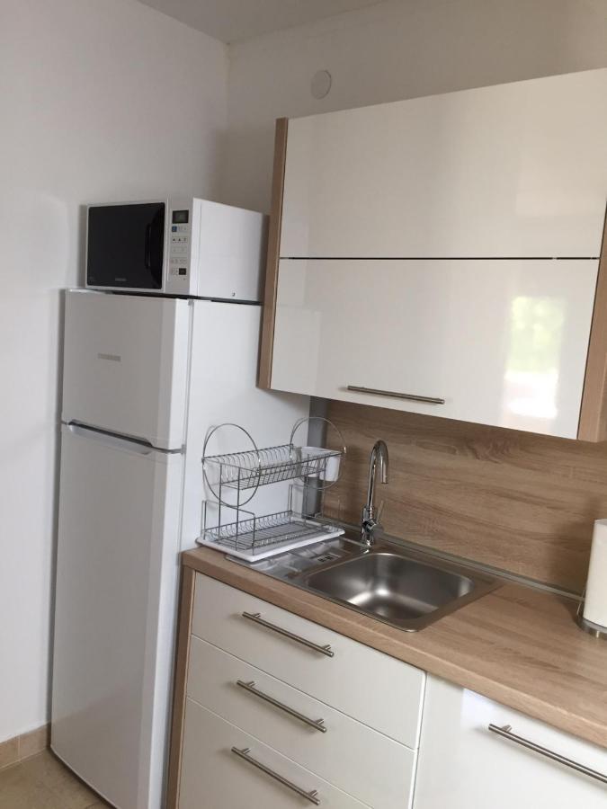 Apartment Majetic Gornji Vaganac 外观 照片